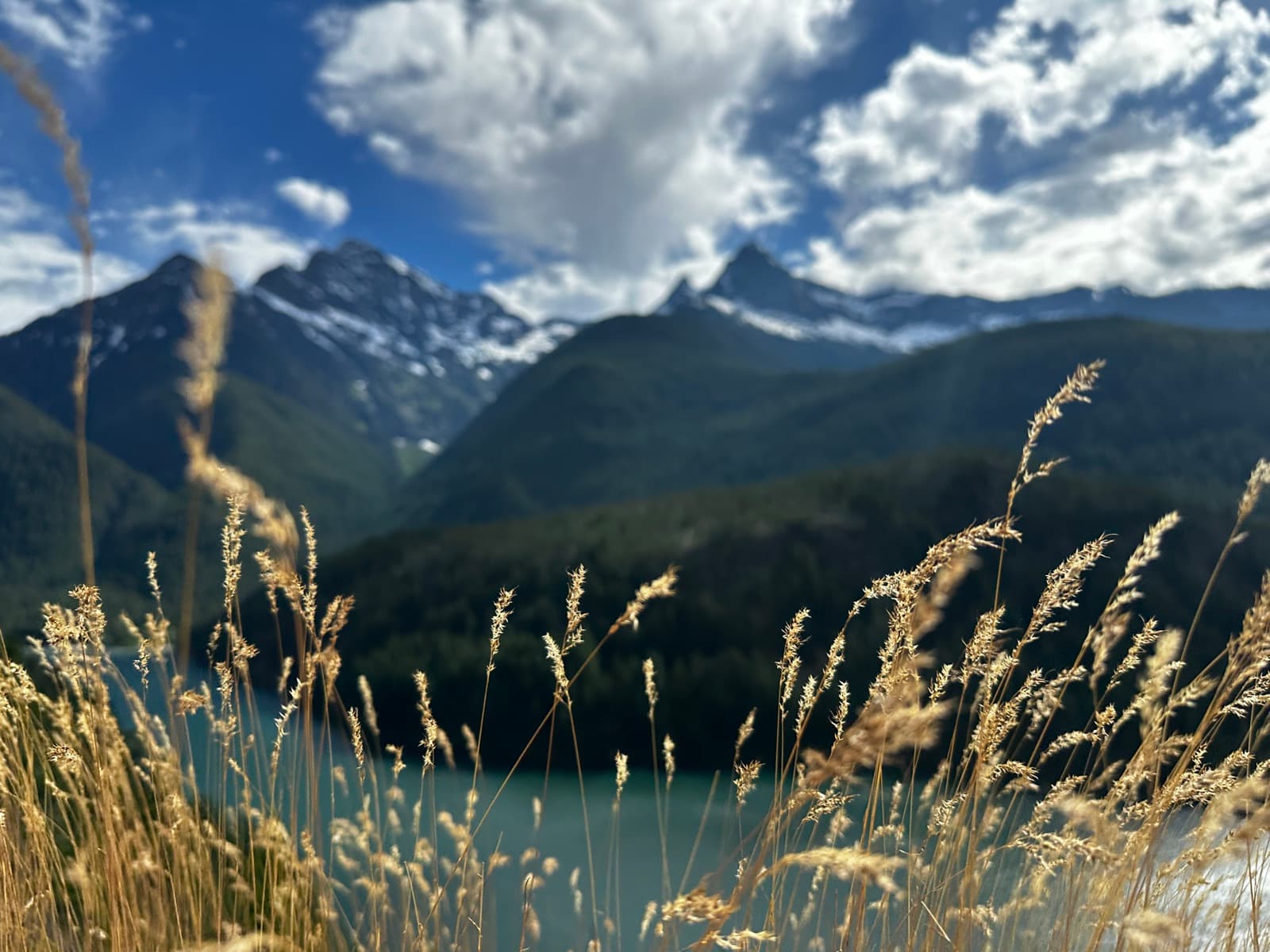 North Cascades NP, WA