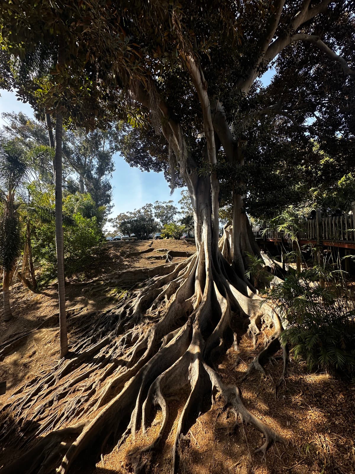 Balboa Park, San Diego